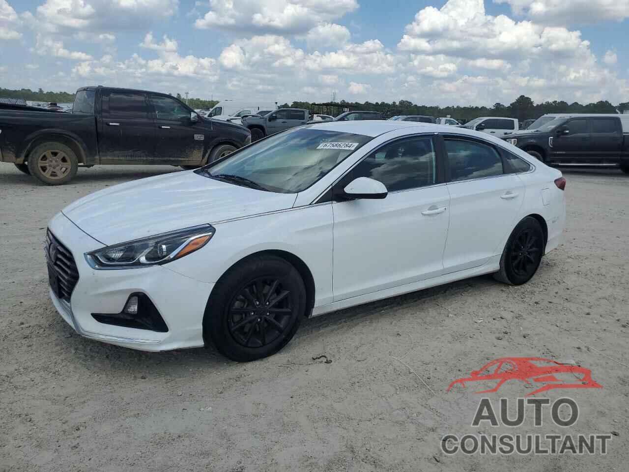 HYUNDAI SONATA 2019 - 5NPE24AF0KH784292