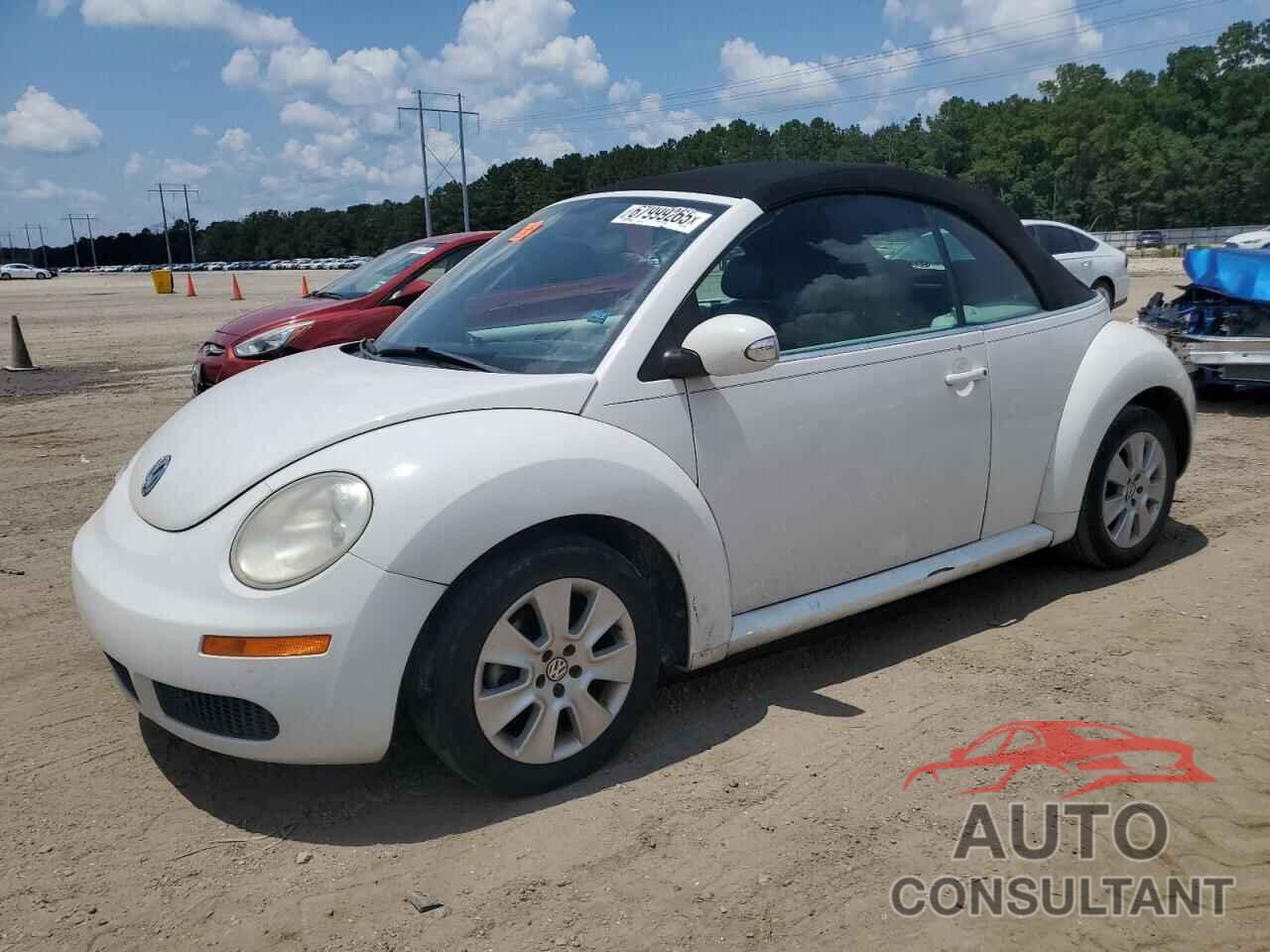 VOLKSWAGEN BEETLE 2009 - 3VWRF31Y69M402835