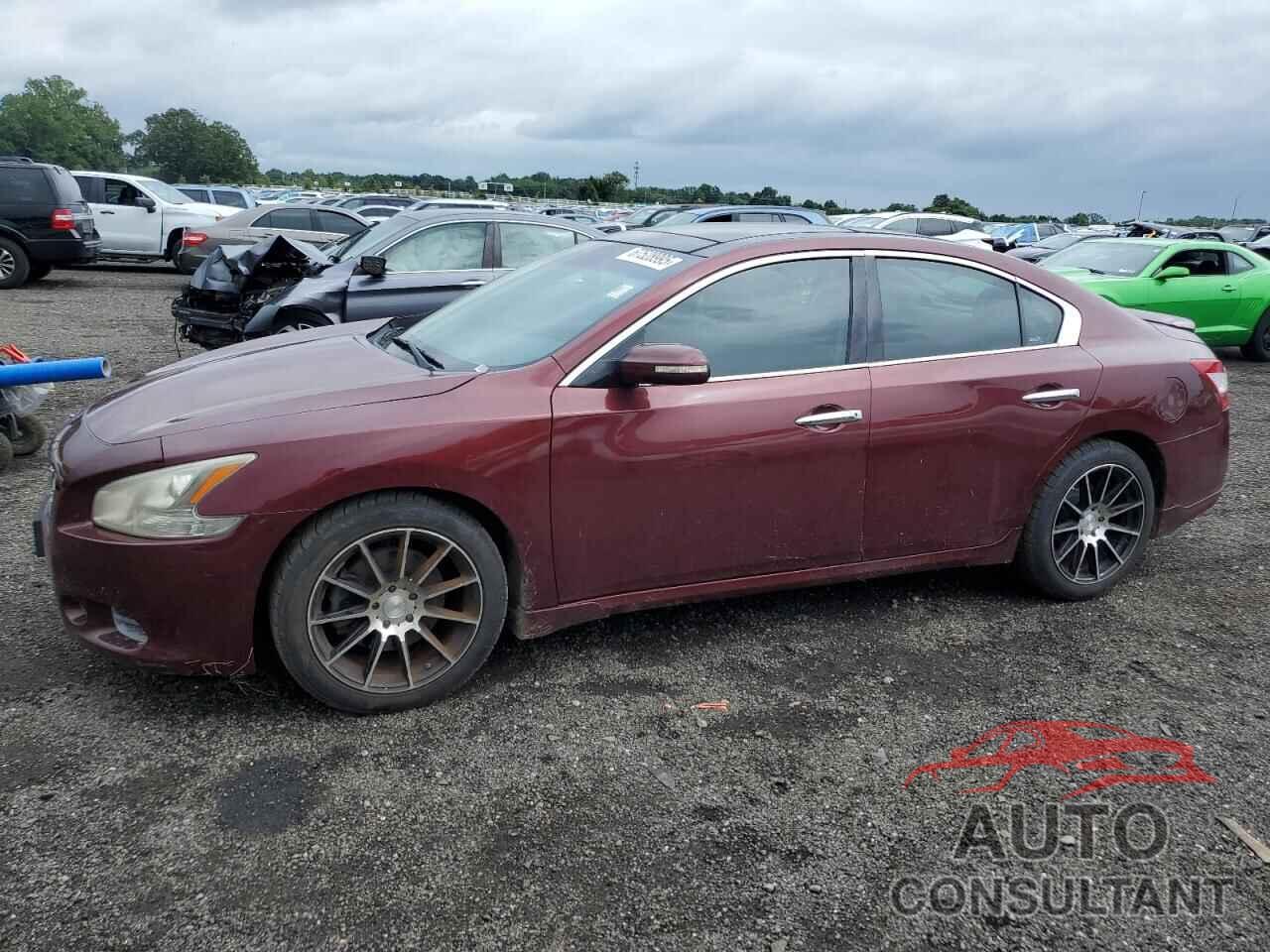 NISSAN MAXIMA 2010 - 1N4AA5AP9AC855246