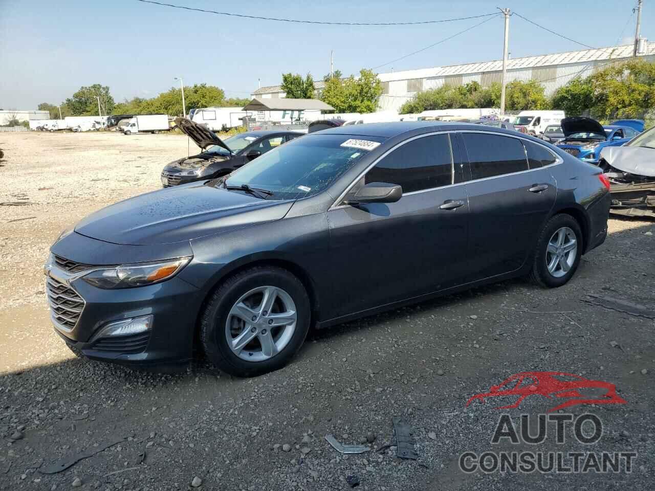 CHEVROLET MALIBU 2019 - 1G1ZB5ST7KF227085