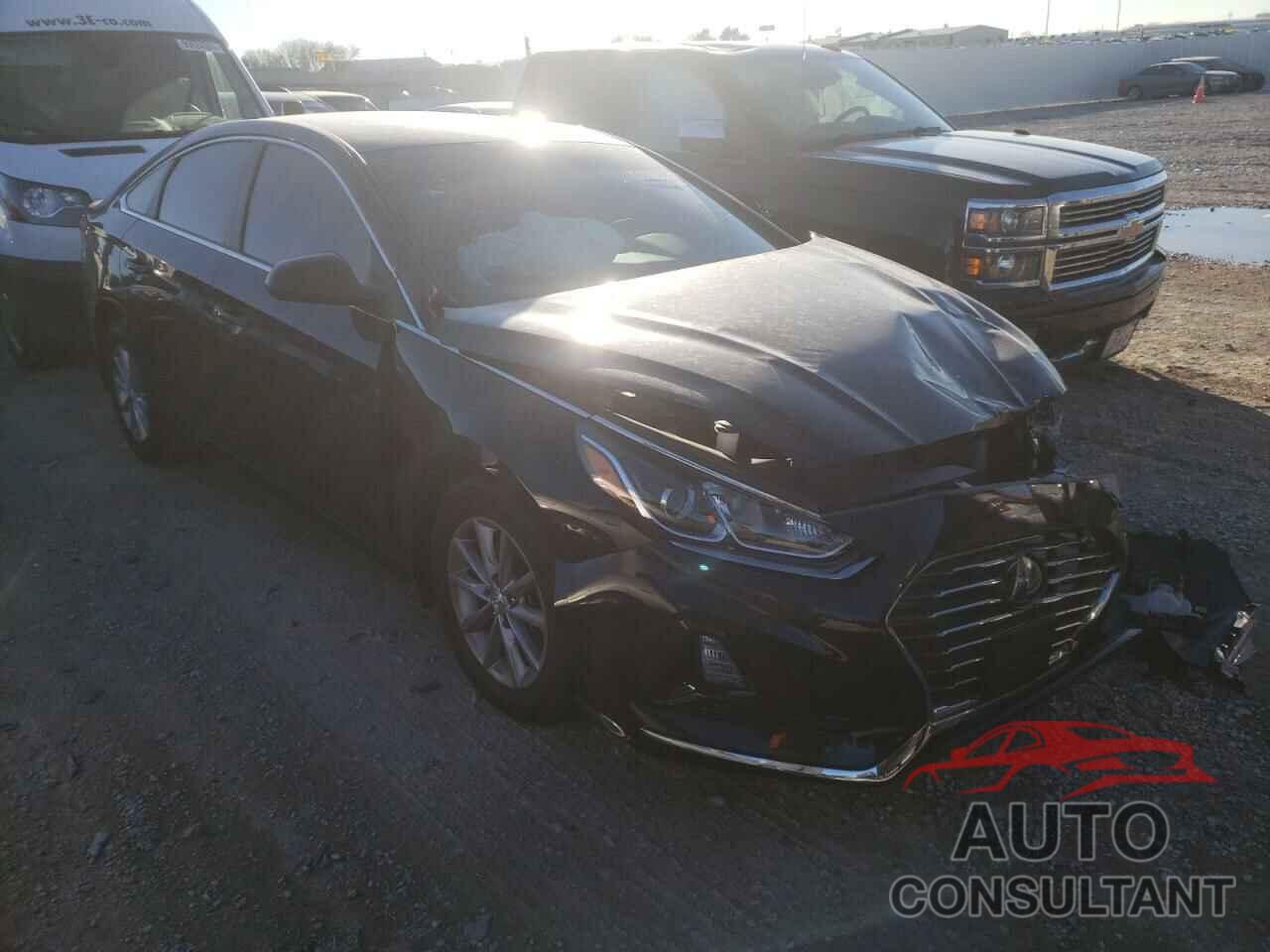 HYUNDAI SONATA 2019 - 5NPE24AF7KH810449