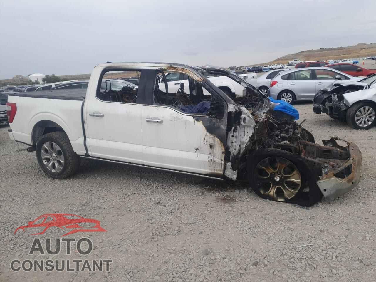FORD F-150 2023 - 1FTFW1E8XPFA00902