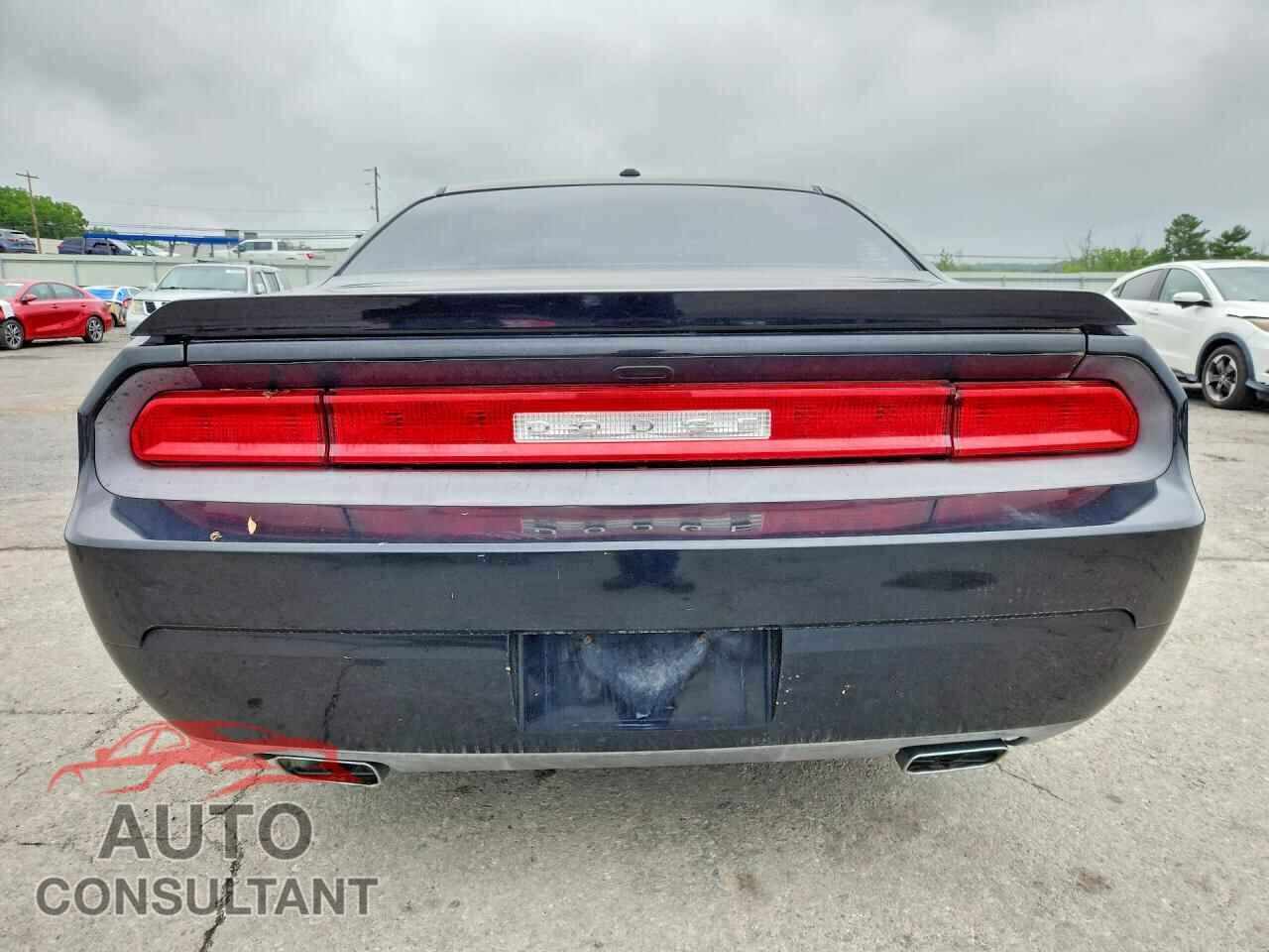 DODGE CHALLENGER 2013 - 2C3CDYAGXDH642162