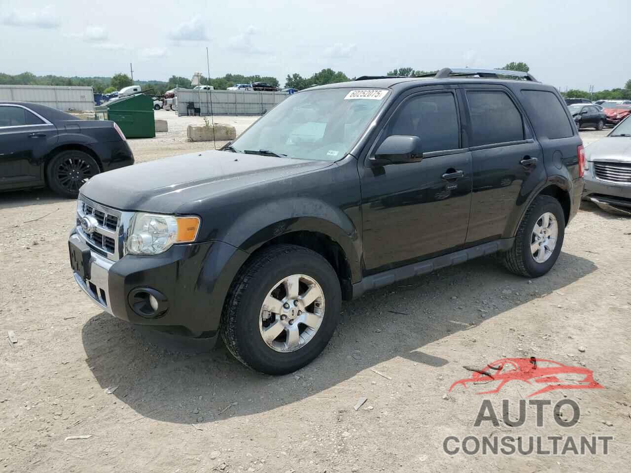 FORD ESCAPE 2011 - 1FMCU9E78BKB59301