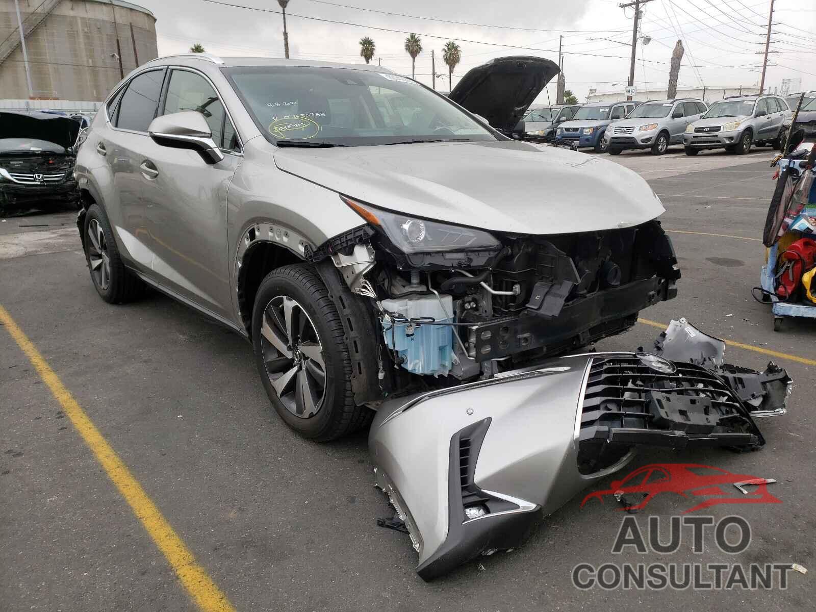 LEXUS NX 2019 - JTJYARBZ4K2140721