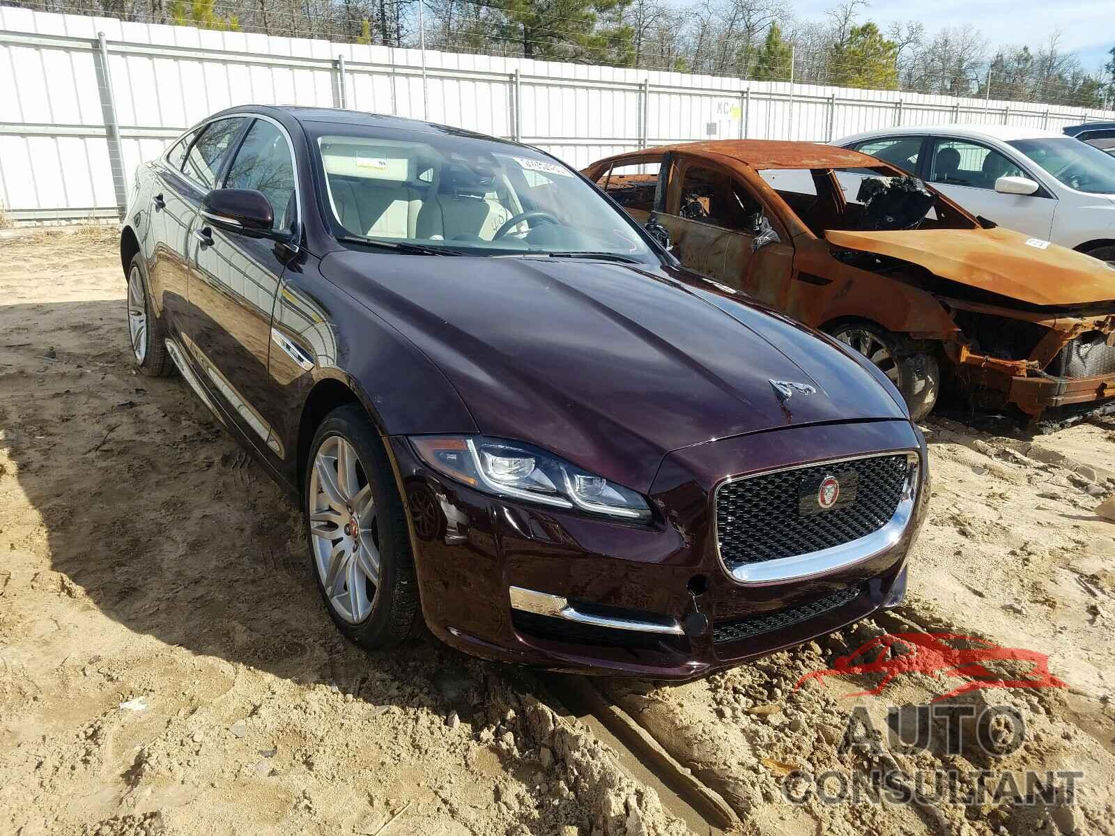 JAGUAR XJ 2019 - SAJWJ1CD8K8W20161