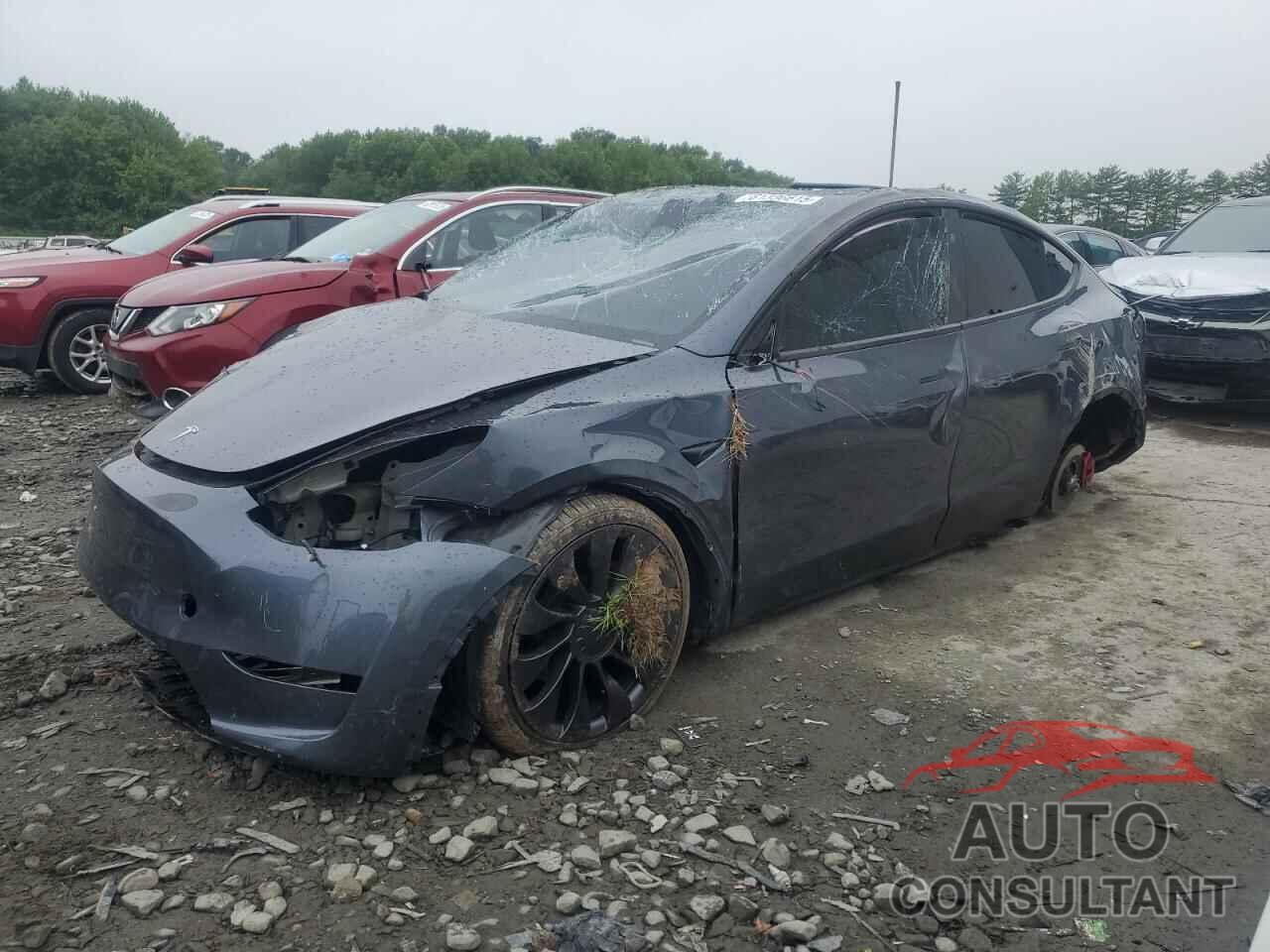 TESLA MODEL Y 2023 - 7SAYGDEFXPF947242