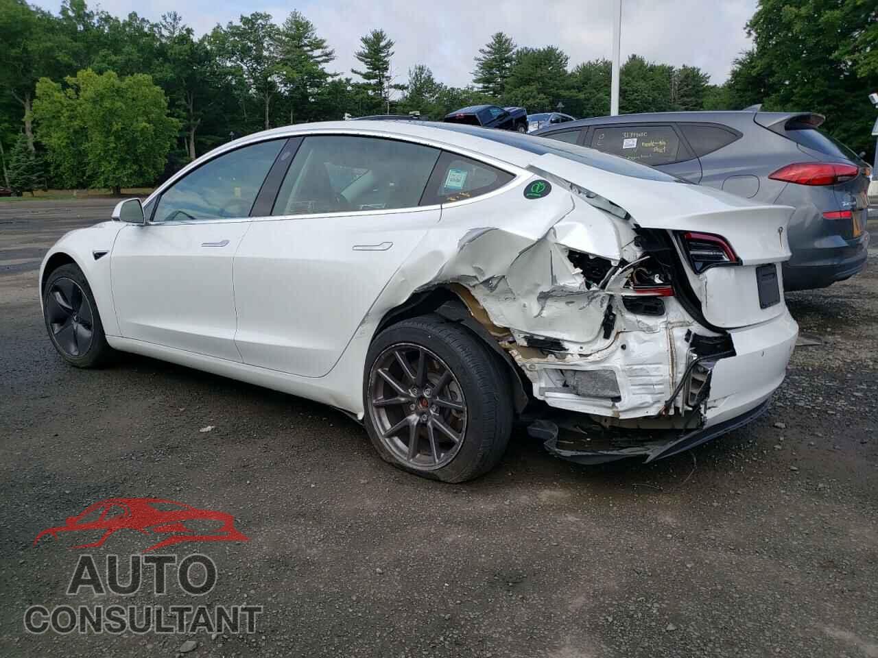 TESLA MODEL 3 2019 - 5YJ3E1EB7KF493713