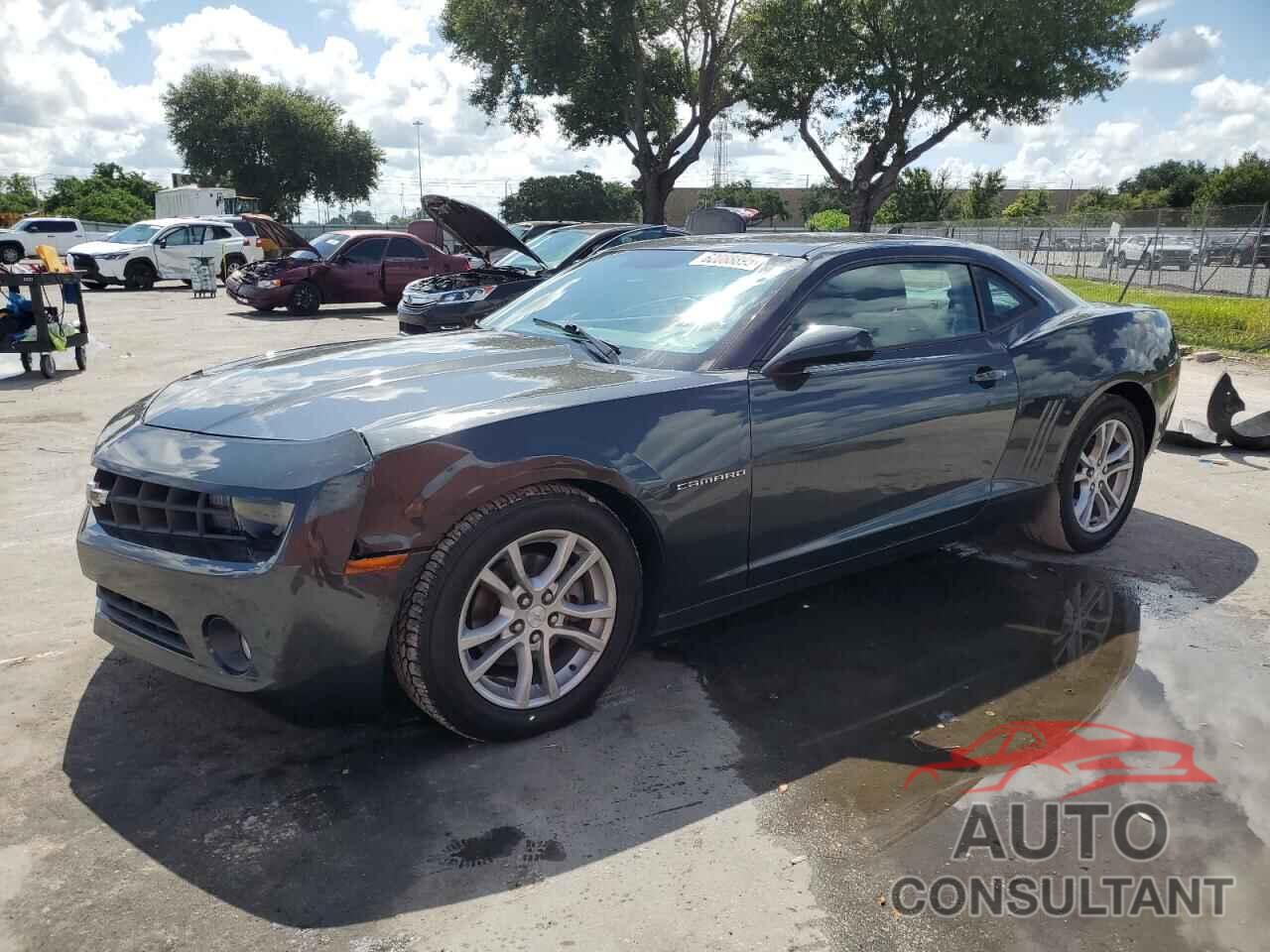 CHEVROLET CAMARO 2013 - 2G1FB1E31D9195916