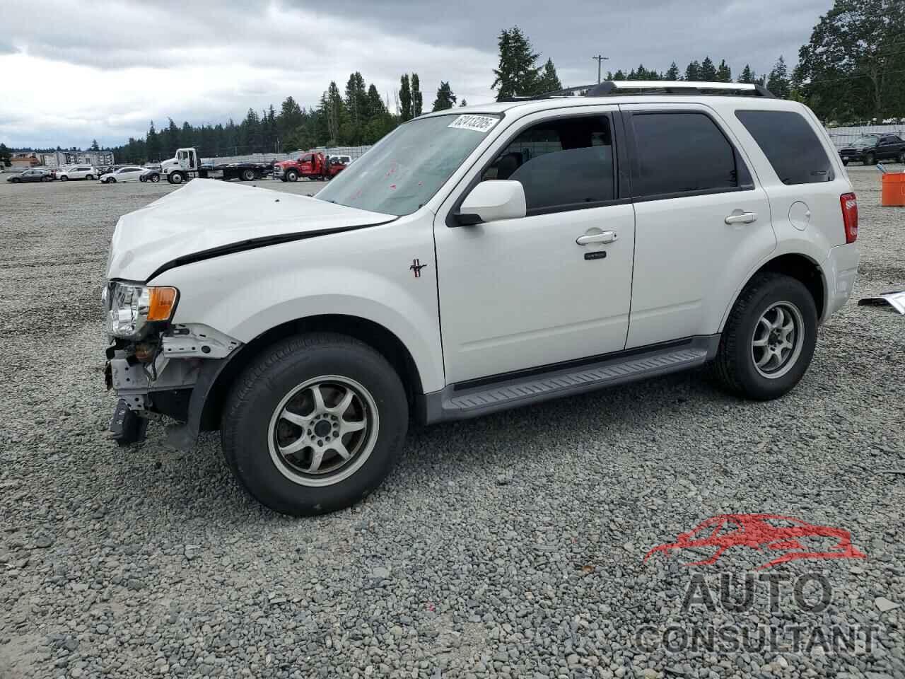 FORD ESCAPE 2010 - 1FMCU9EG5AKA70316