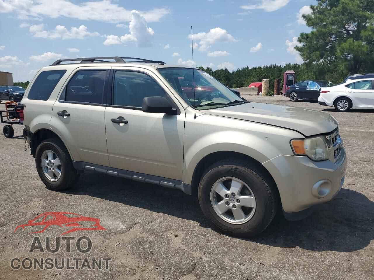 FORD ESCAPE 2010 - 1FMCU0DG4AKB21916