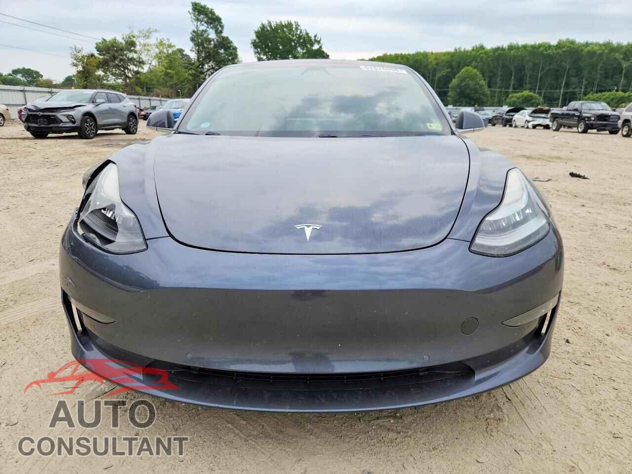 TESLA MODEL 3 2019 - 5YJ3E1EAXKF313552