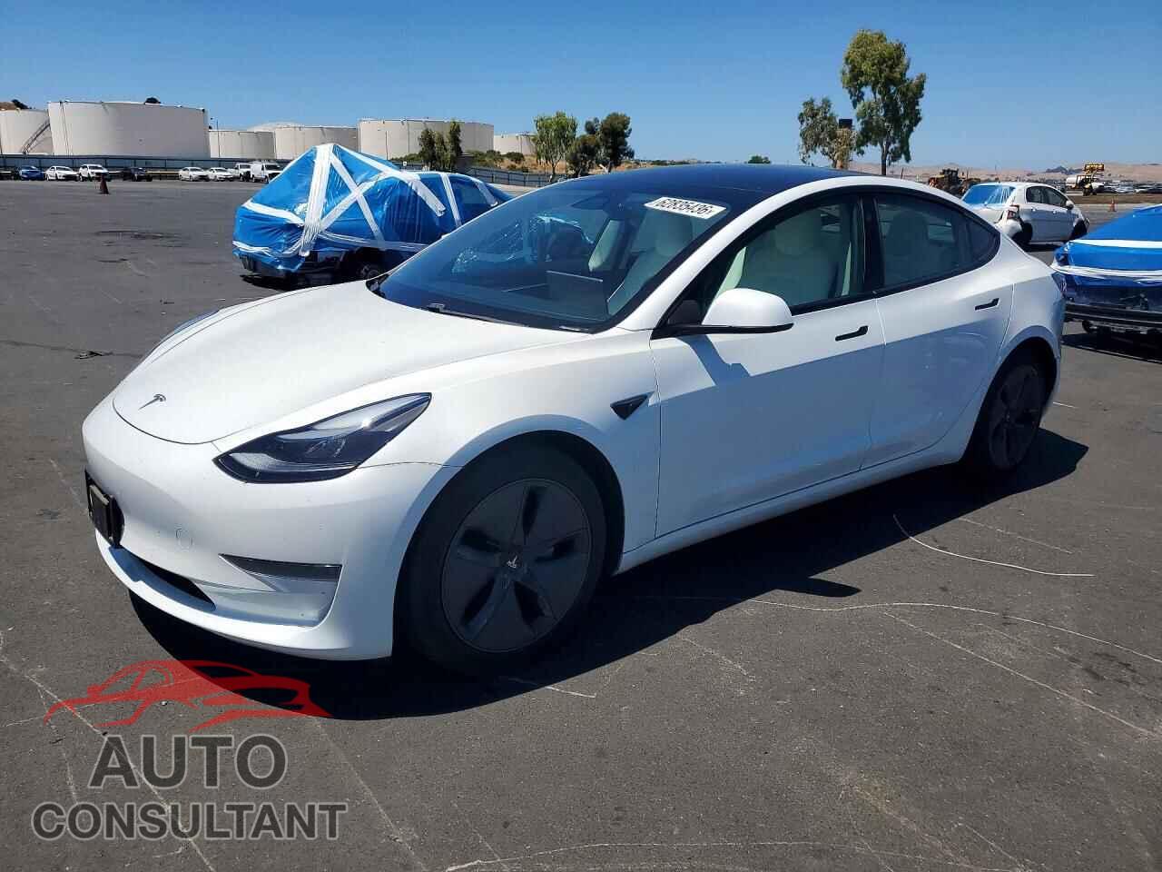 TESLA MODEL 3 2021 - 5YJ3E1EA1MF989875