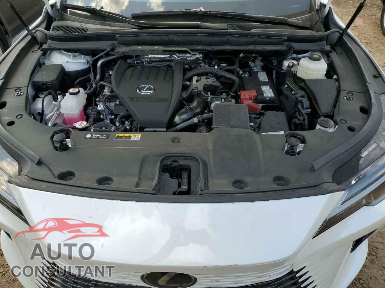 LEXUS RX350 2023 - 2T2BAMBA4PC011209