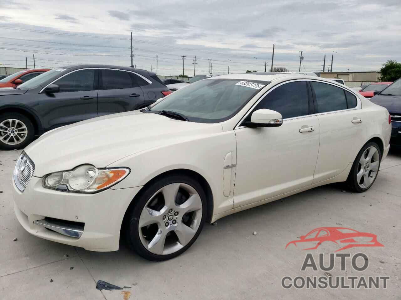 JAGUAR XF 2009 - SAJWA07C591R44067