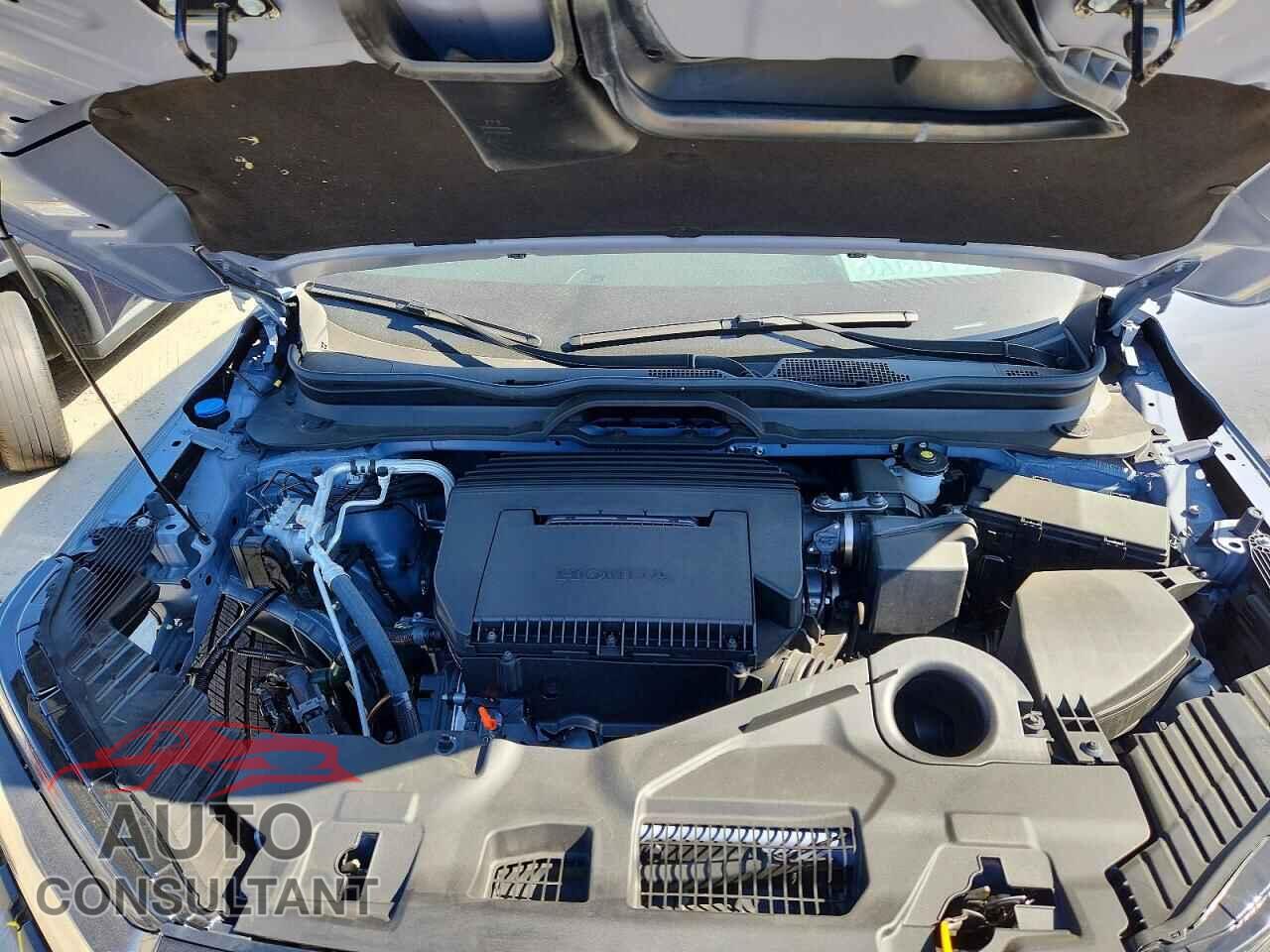 HONDA PILOT 2026 - 5FNYG2H36TB003824
