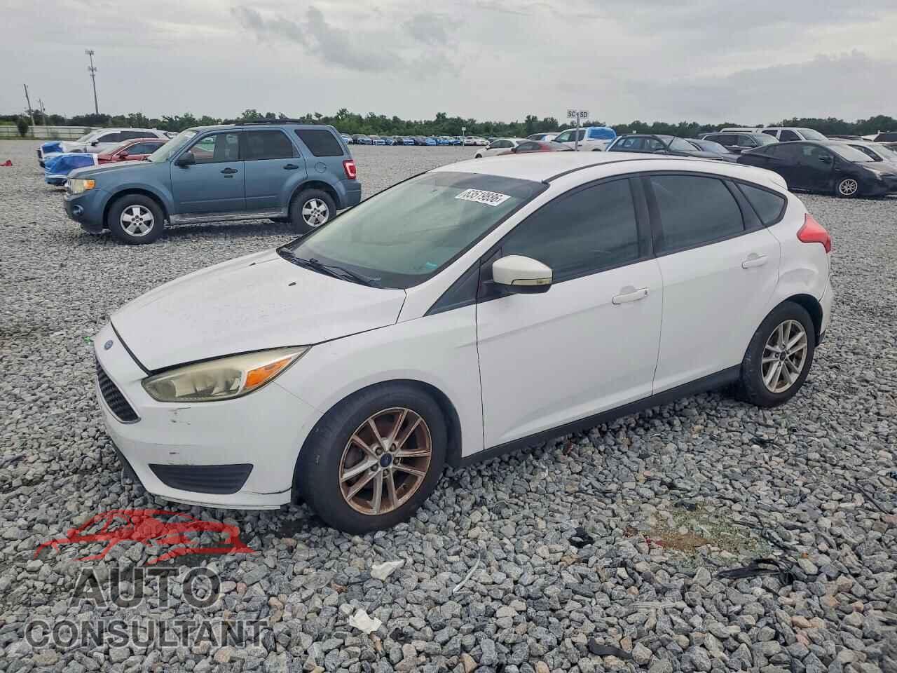 FORD FOCUS 2017 - 1FADP3K29HL337926