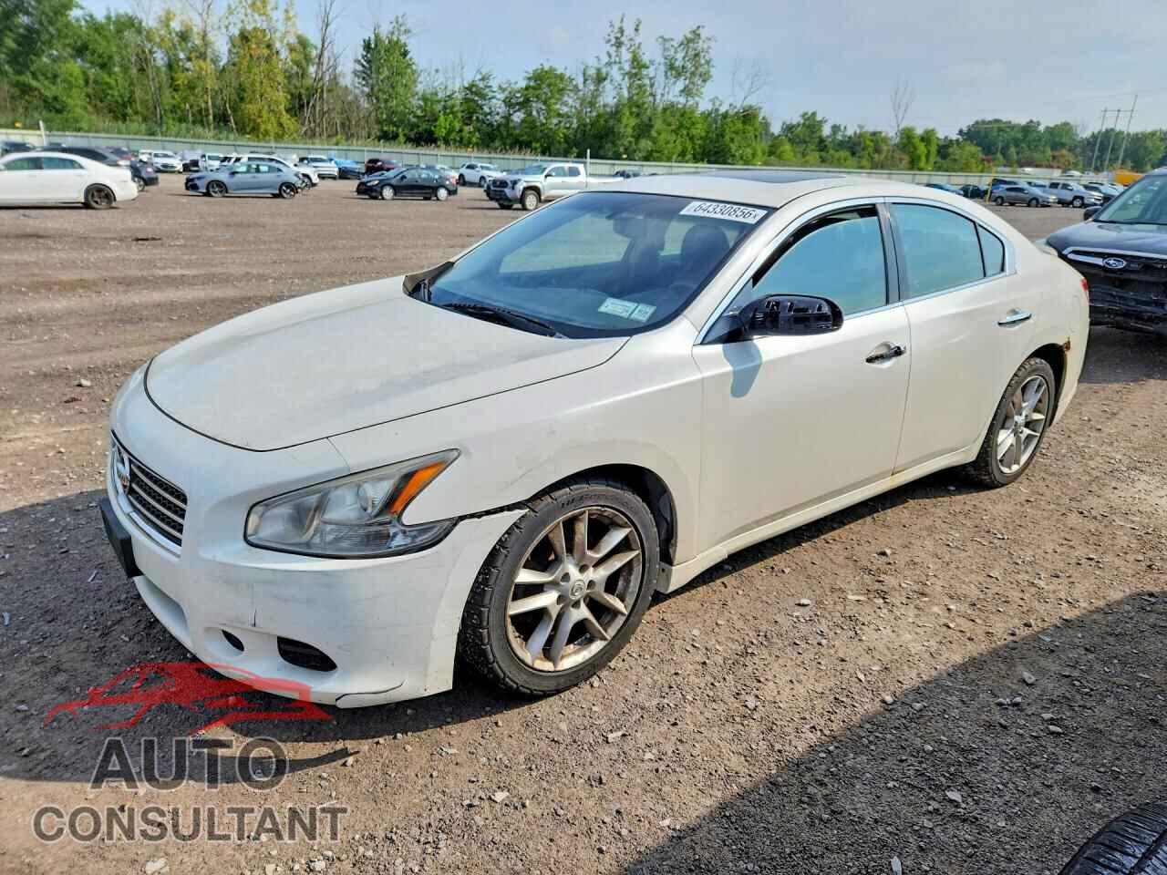 NISSAN MAXIMA 2009 - 1N4AA51E29C829954
