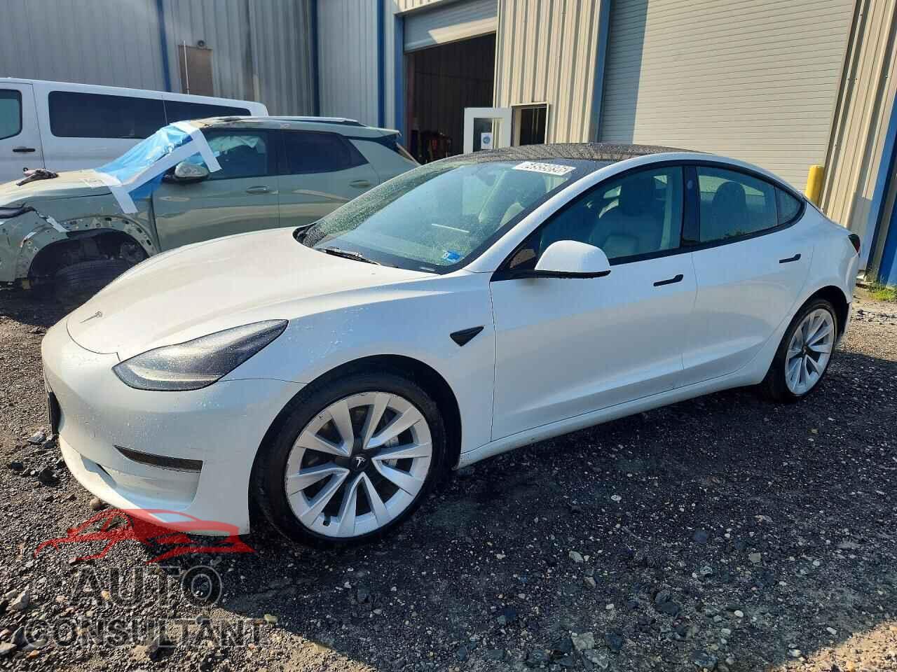 TESLA MODEL 3 2023 - 5YJ3E1EA3PF435290