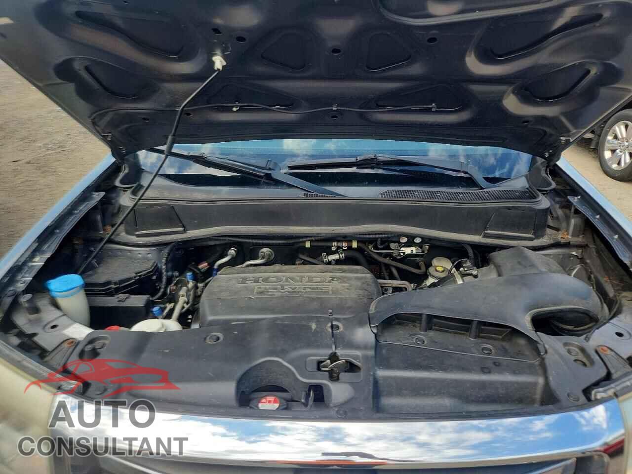HONDA PILOT 2019 - 5FNYF4H5XDB073473