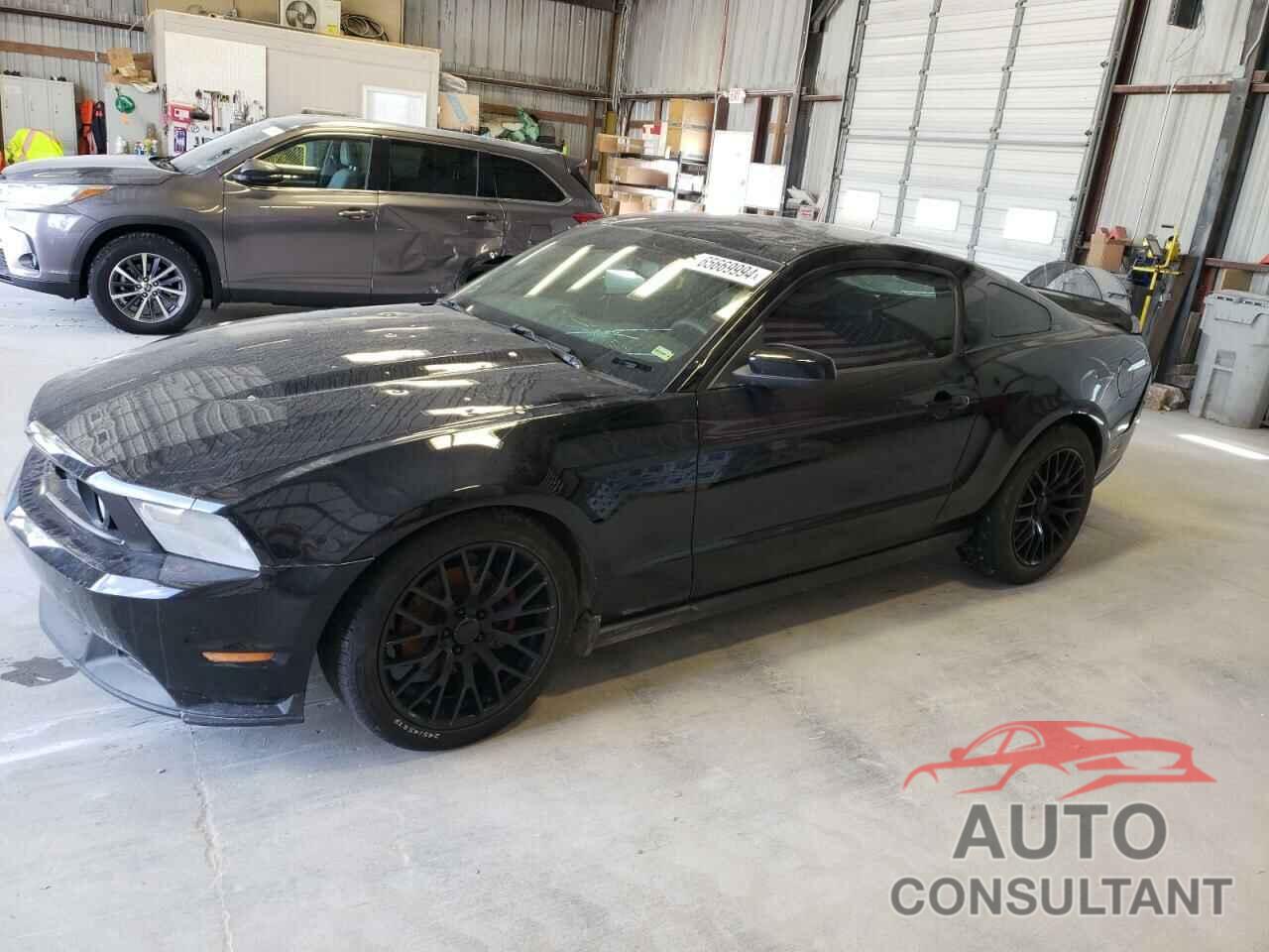 FORD MUSTANG 2010 - 1ZVBP8CHXA5144807