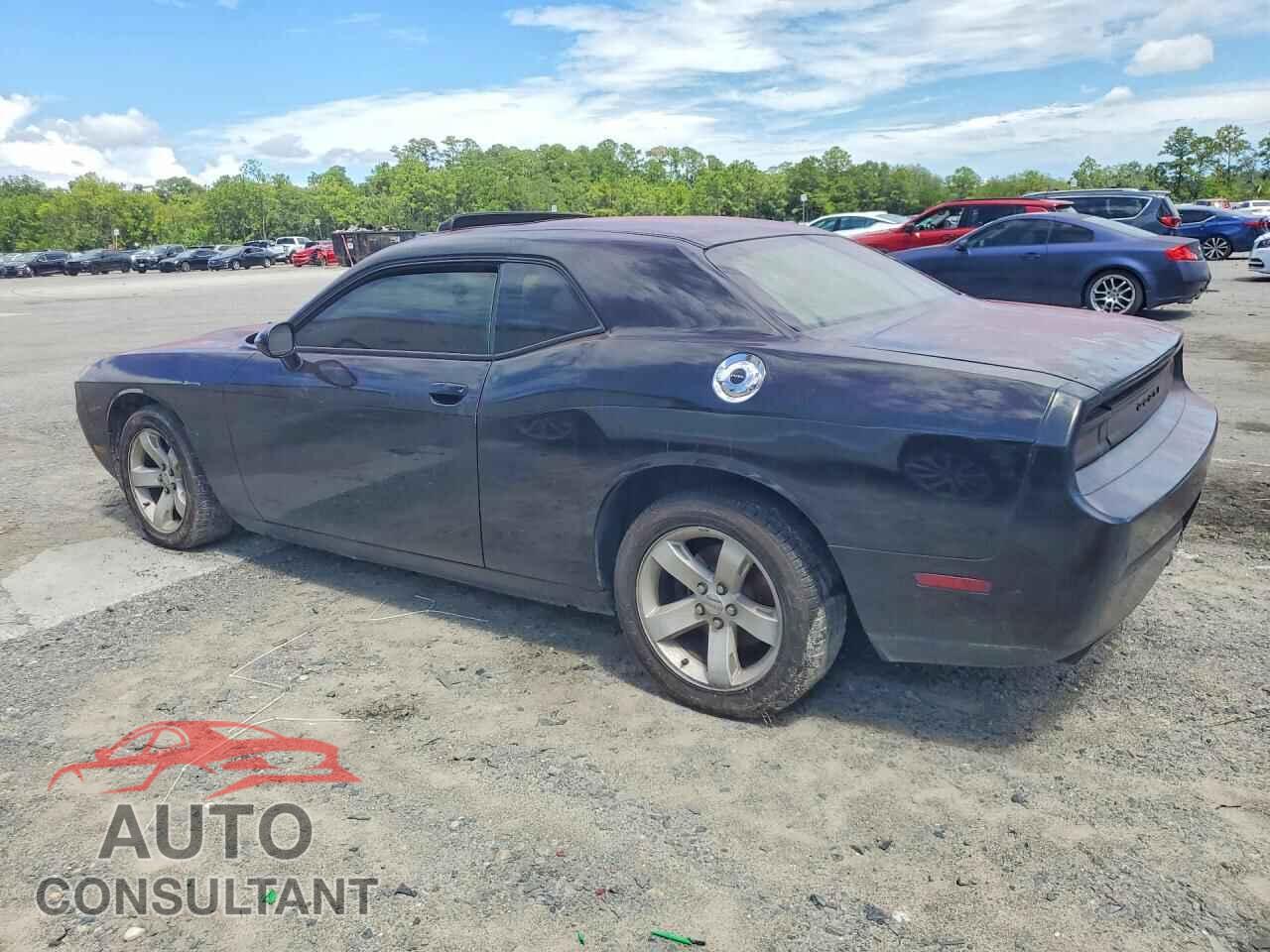 DODGE CHALLENGER 2014 - 2C3CDYAG0EH126880