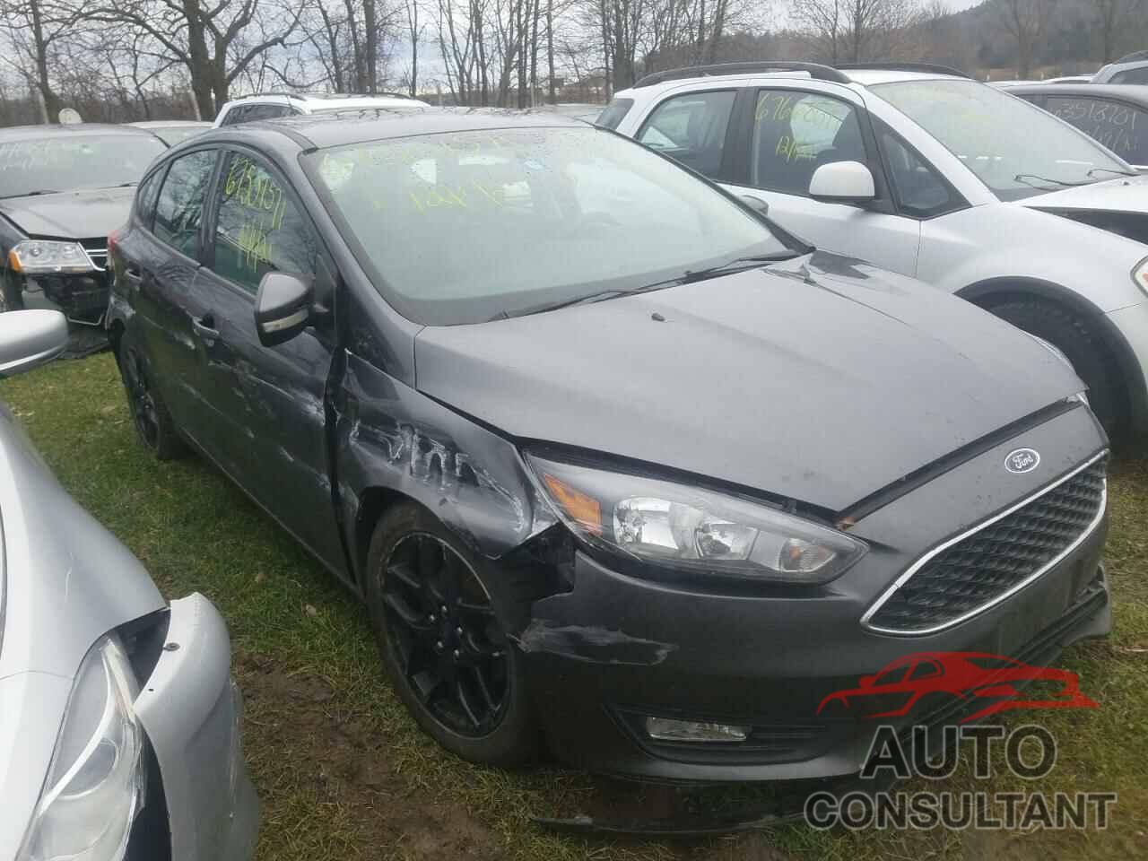 FORD FOCUS 2016 - 1FADP3K22GL382012