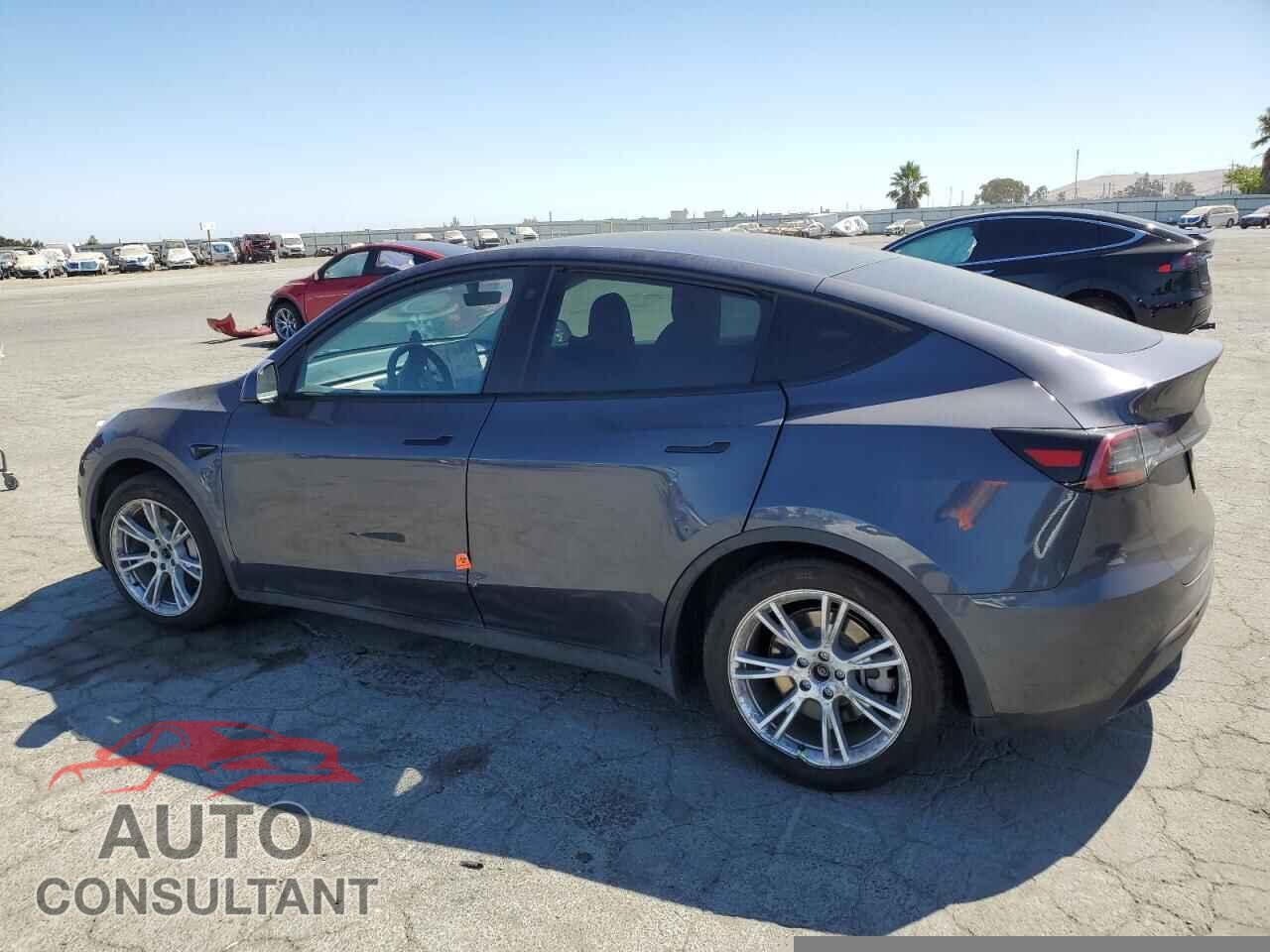TESLA MODEL Y 2022 - 7SAYGDEE4NF354514
