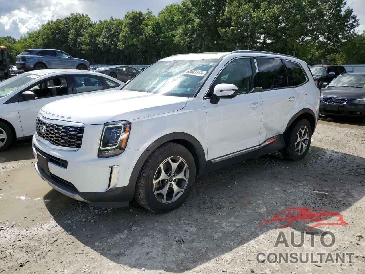 KIA TELLURIDE 2020 - 5XYP3DHC1LG083674