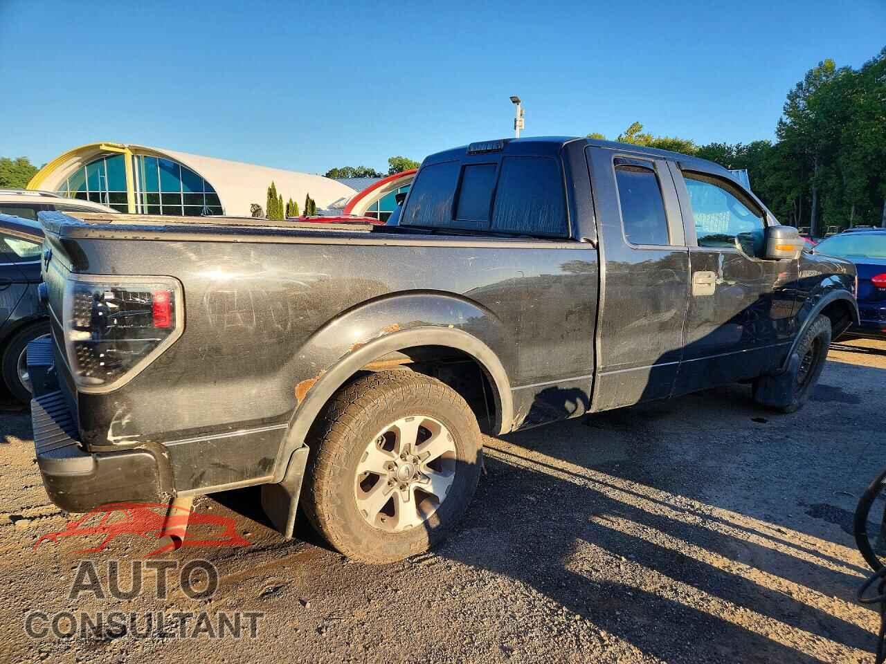 FORD F150 2013 - 1FTFX1EF3DFA97500