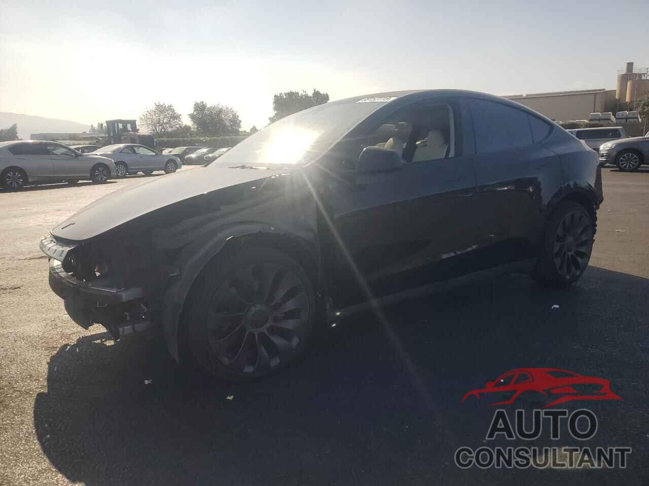 TESLA MODEL Y 2023 - 7SAYGDEF3PF888793