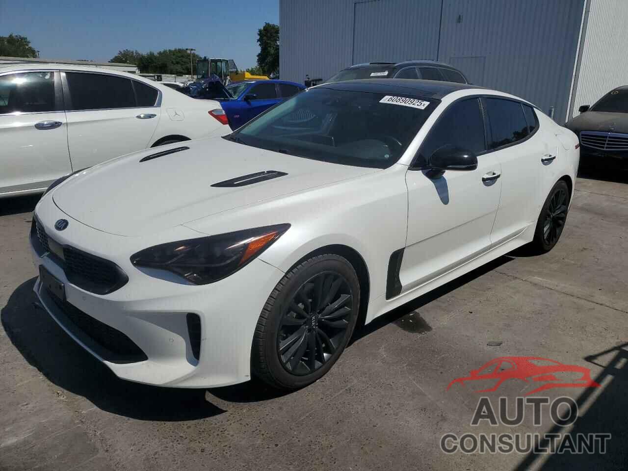 KIA STINGER 2019 - KNAE25LA8K6059389
