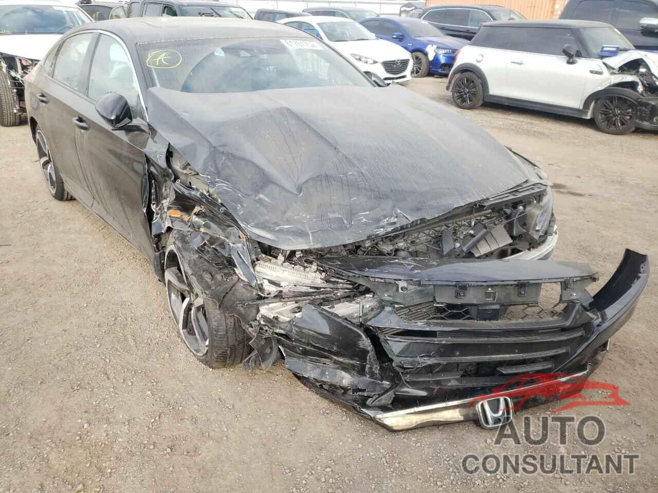 HONDA ACCORD 2019 - 1HGCV1F36KA800631