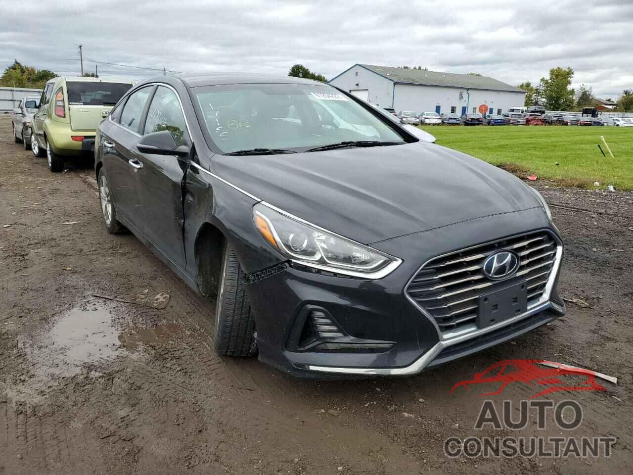 HYUNDAI SONATA 2018 - 5NPE34AF3JH632017