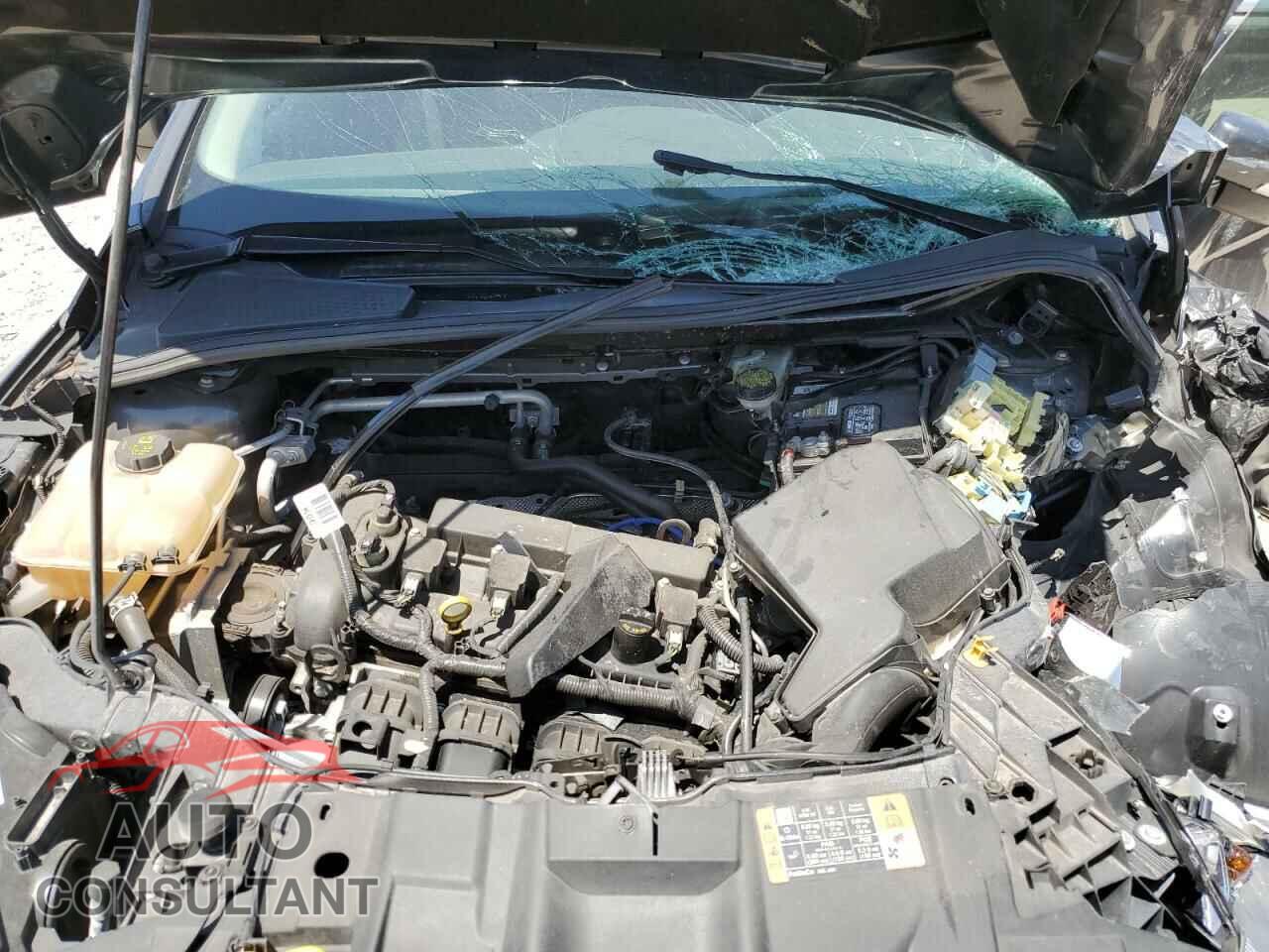 FORD FOCUS 2016 - 1FADP3F29GL350295