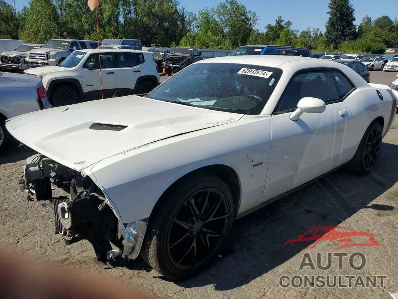 DODGE CHALLENGER 2018 - 2C3CDZBT2JH228287