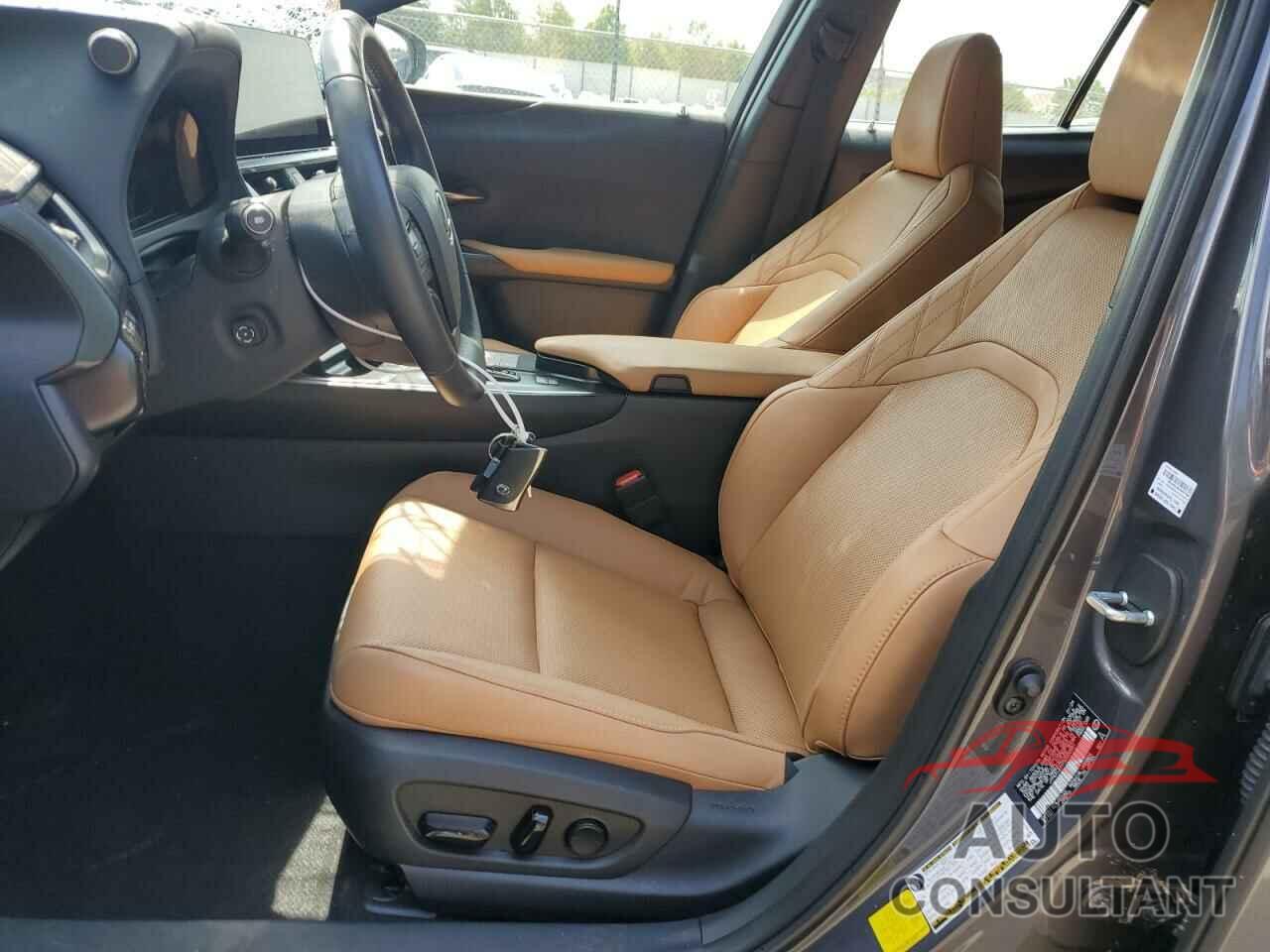 LEXUS UX 300H BA 2025 - JTHUCJDH7S2000551