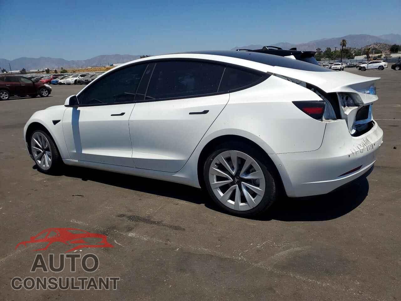 TESLA MODEL 3 2021 - 5YJ3E1EA3MF017856