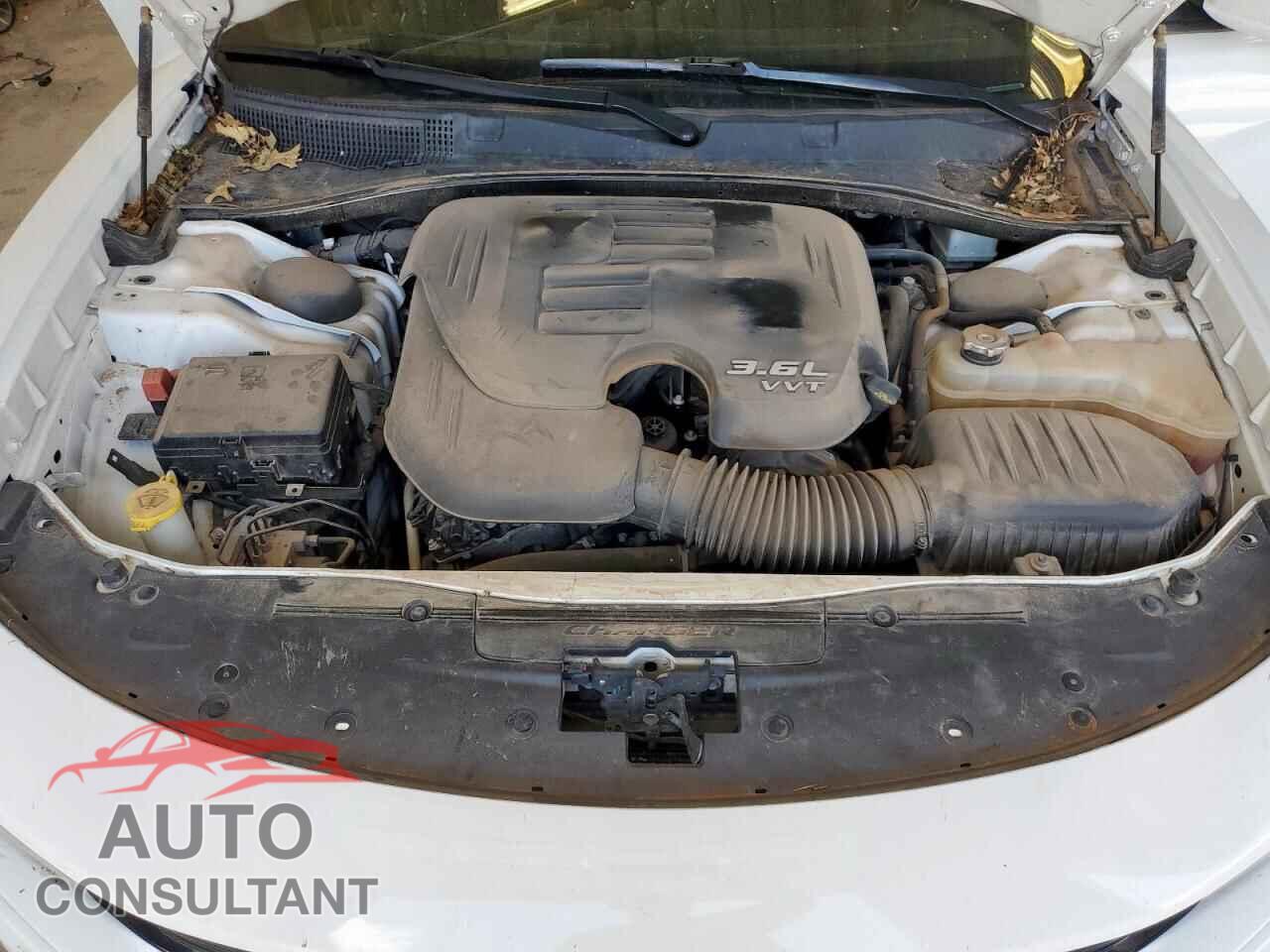 DODGE CHARGER 2019 - 2C3CDXBG0KH698990