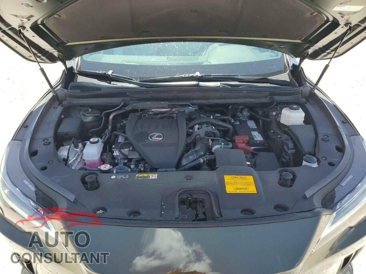 LEXUS RX350 2023 - 2T2BAMBA9PC006961
