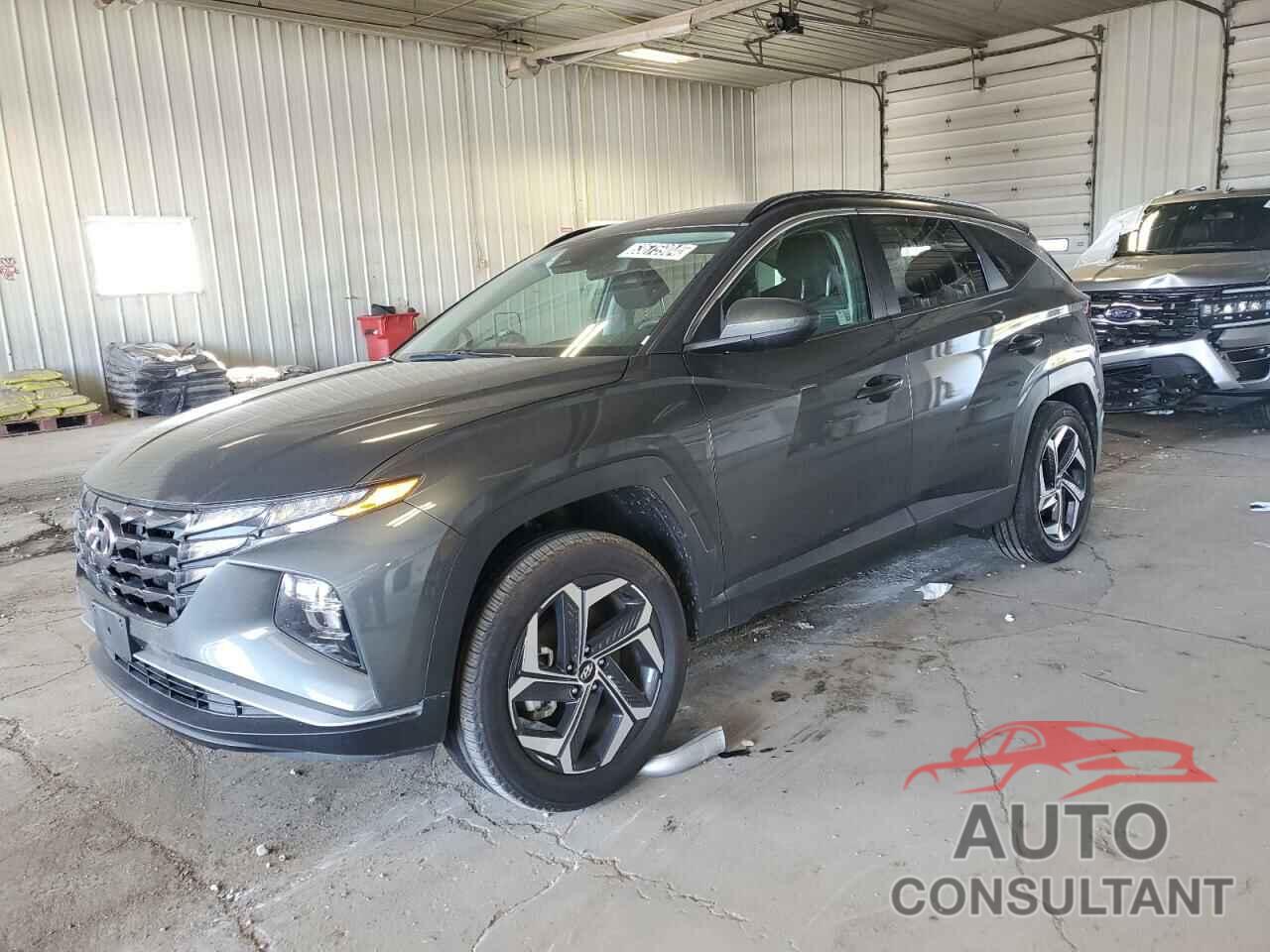 HYUNDAI TUCSON 2024 - KM8JBDD25RU173242