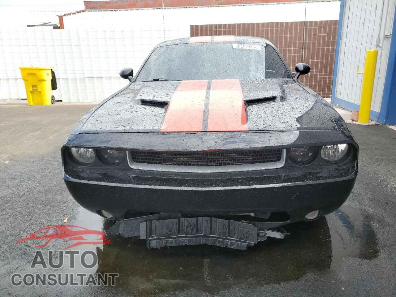 DODGE CHALLENGER 2013 - 2C3CDYBTXDH500633