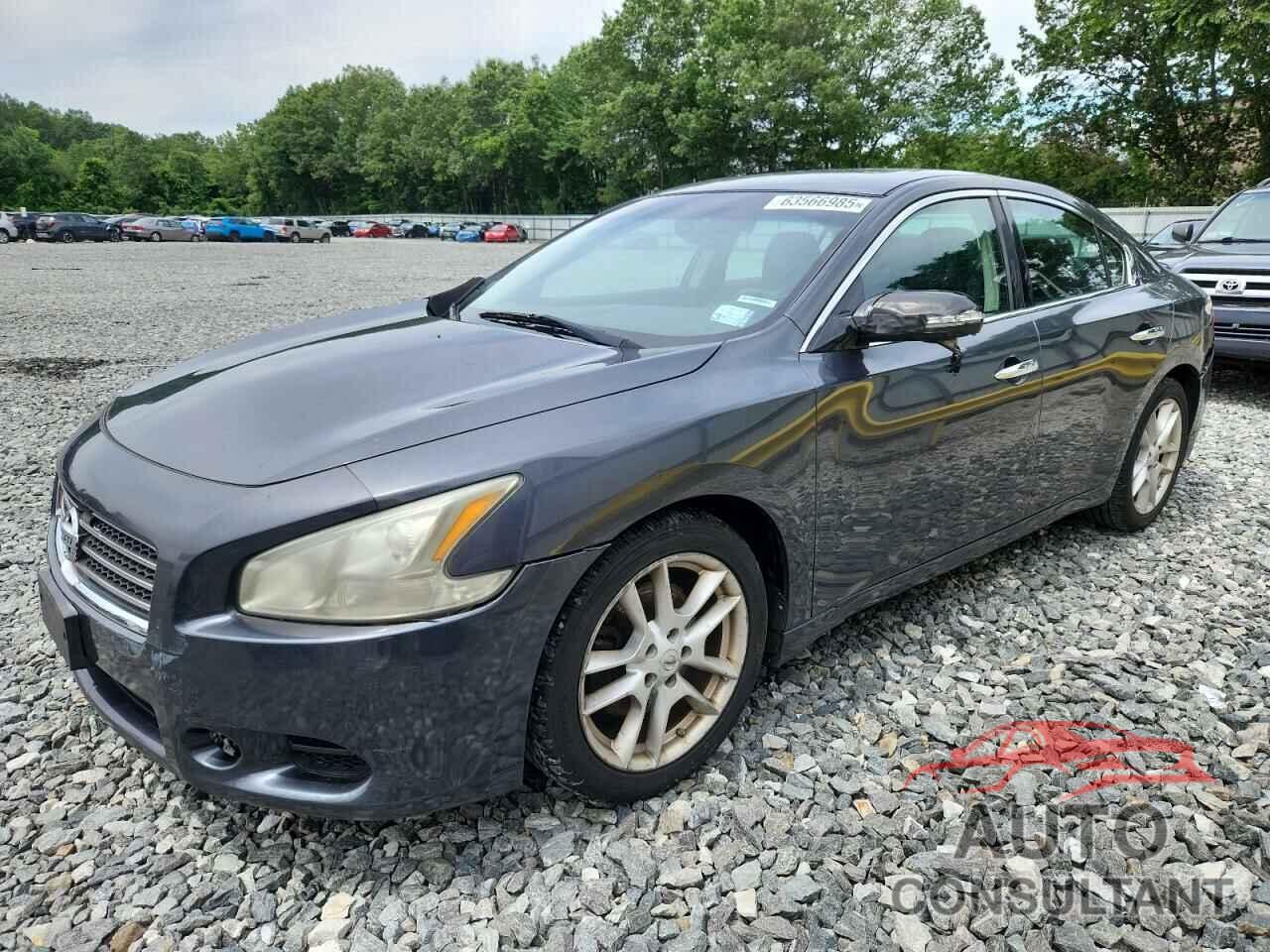 NISSAN MAXIMA 2011 - 1N4AA5AP7BC838818