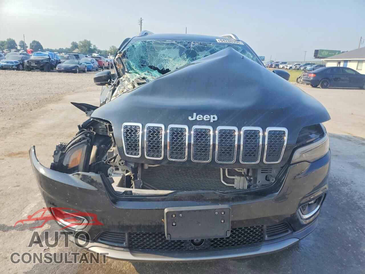 JEEP CHEROKEE 2019 - 1C4PJMDN4KD157471