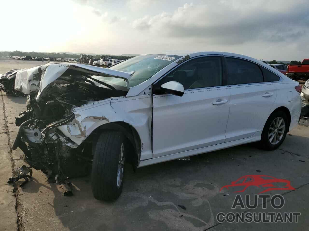 HYUNDAI SONATA 2018 - 5NPE24AF5JH618896