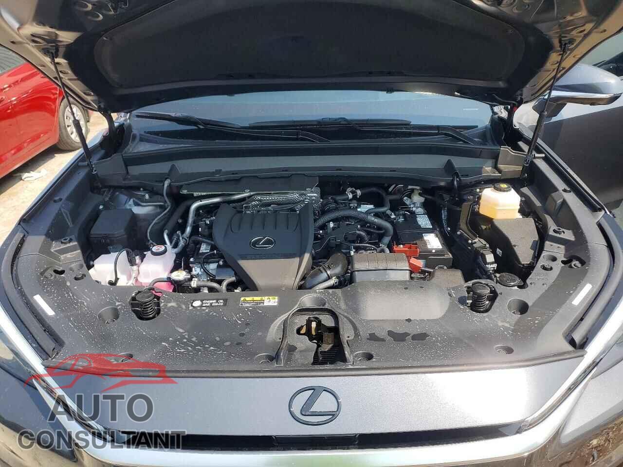 LEXUS UNKNOWN 2026 - 5TDAAAB6XTS084855