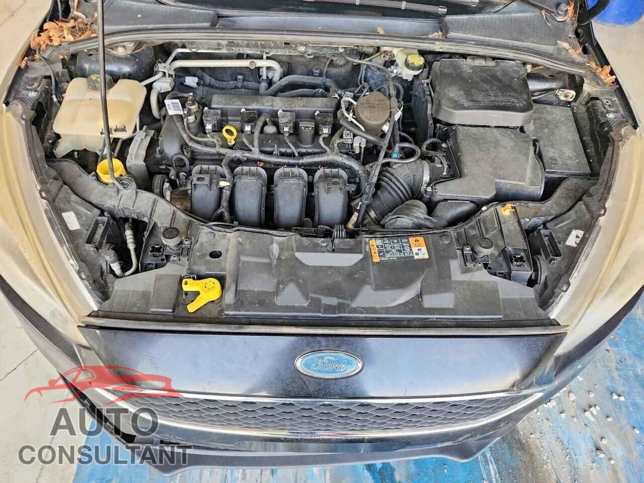 FORD FOCUS 2016 - 1FADP3F21GL204215