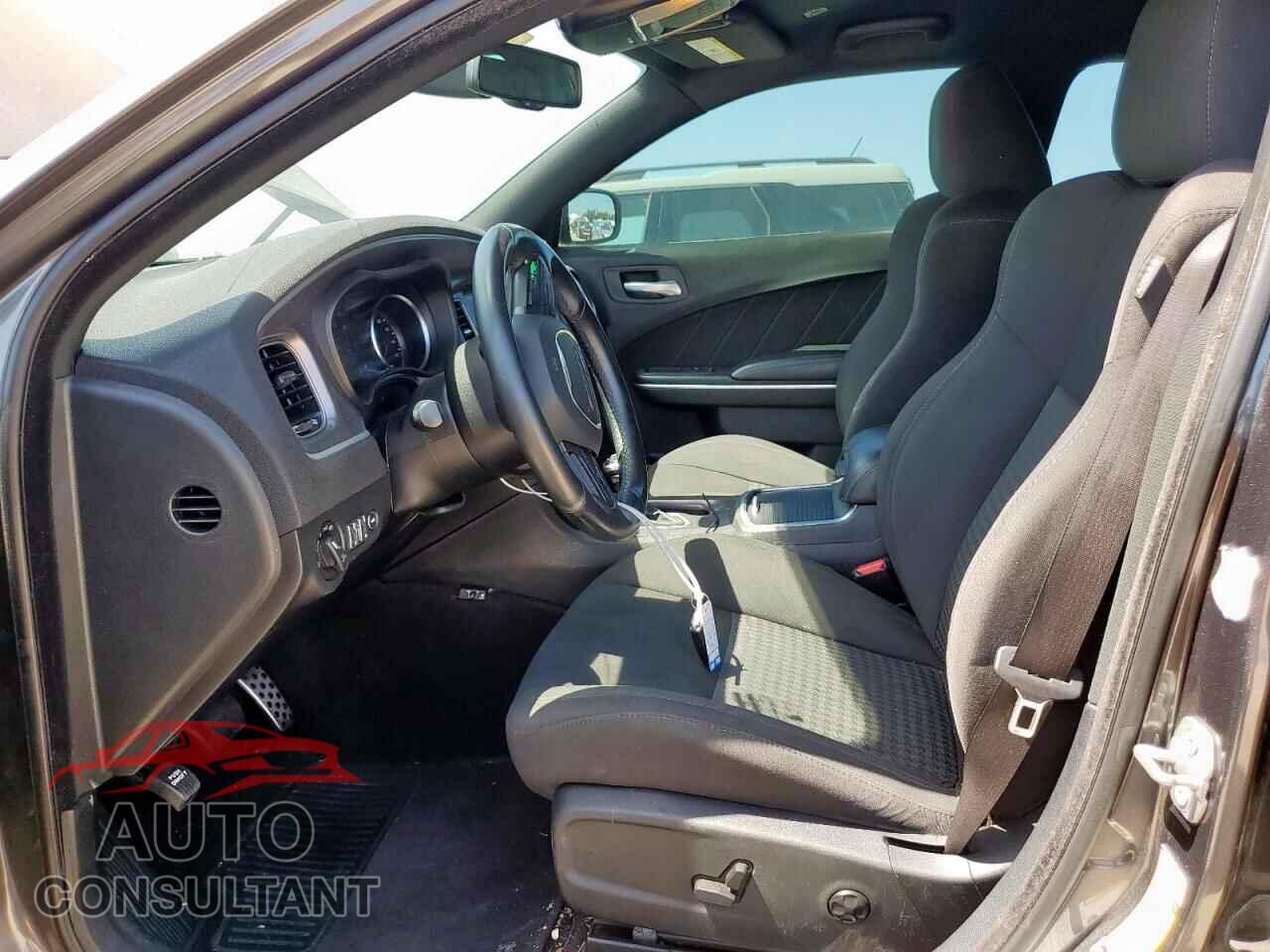DODGE CHARGER 2019 - 2C3CDXCTXKH513100