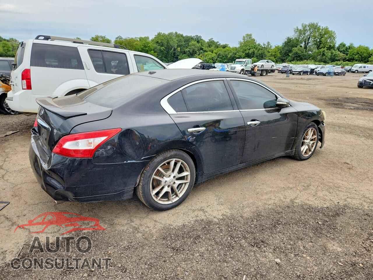 NISSAN MAXIMA 2011 - 1N4AA5AP5BC851728