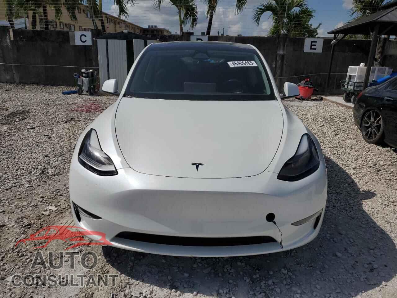 TESLA MODEL Y 2024 - 7SAYGDED2RF010239